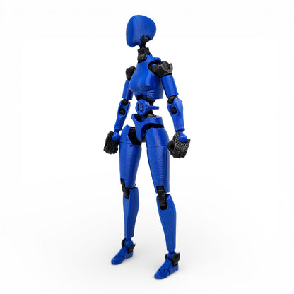 Carbon 13 – Next-Gen Dummy 13 Evolution